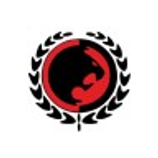 Escudo Gracie Campeche / Rafa Torres